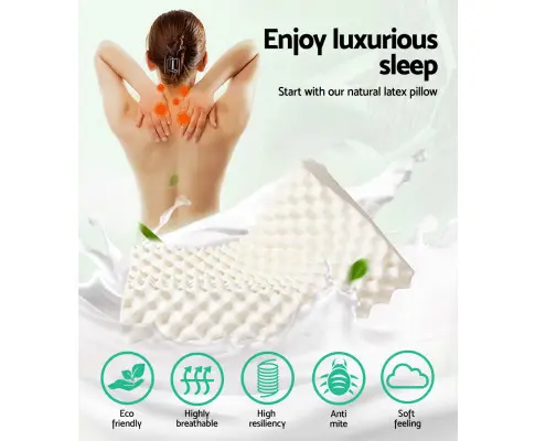 PILLOW-LT-EC-X2-02.webp