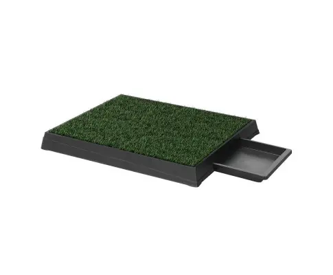 PET-PAD-GRASSX2-139239-00.webp