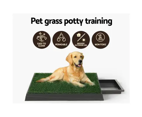 PET-PAD-GRASSX2-139239-03.webp