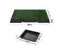 PET-PAD-GRASSX2-139239-01.webp