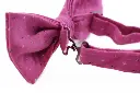 Mens-Pink-Multicoloured-Star-Cotton-Bow-Tie-Ellie-Ruby-2.webp