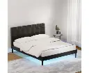 Artiss Bed Frame Queen Bed Base w LED Lights Charge Ports Black Leather RAVI