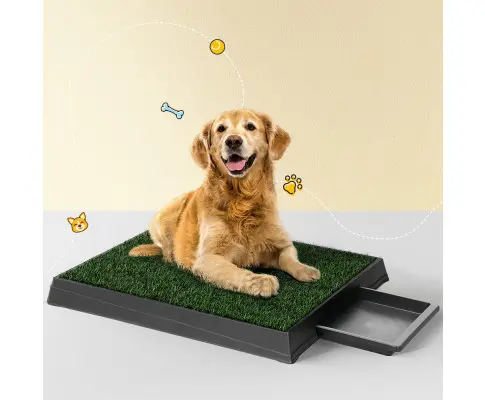 i.Pet Pet Training Pad Dog Potty Toilet Large Portable With Tray Grass 2 Mats