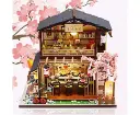 Dollhouse Miniature with Furniture Kit Plus Dust Proof and Music Movement - Asia (1:24 Scale Creative Room Idea)